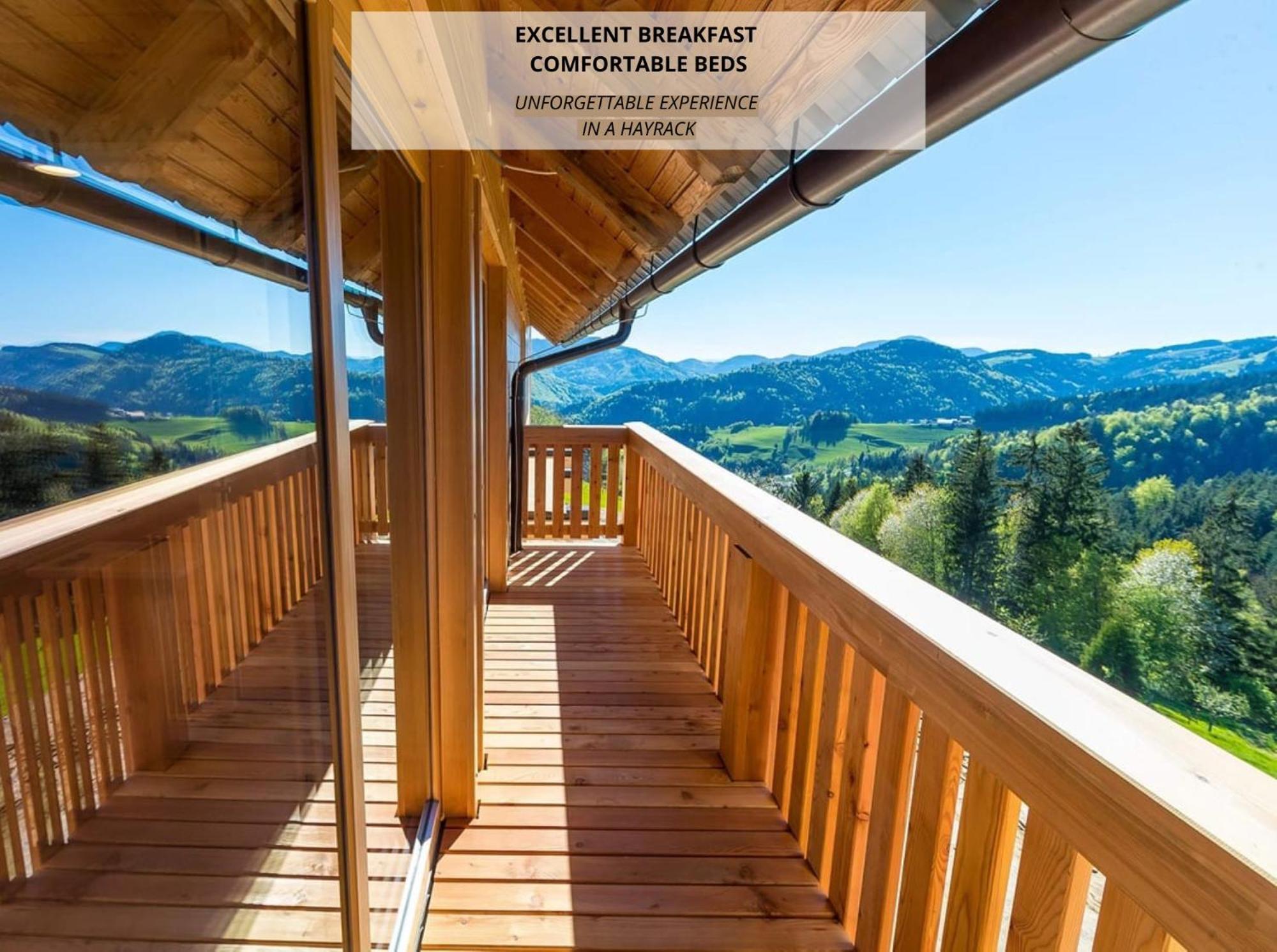 Apartmaji Na Kozolcu - Smogavc Zreče Exteriér fotografie